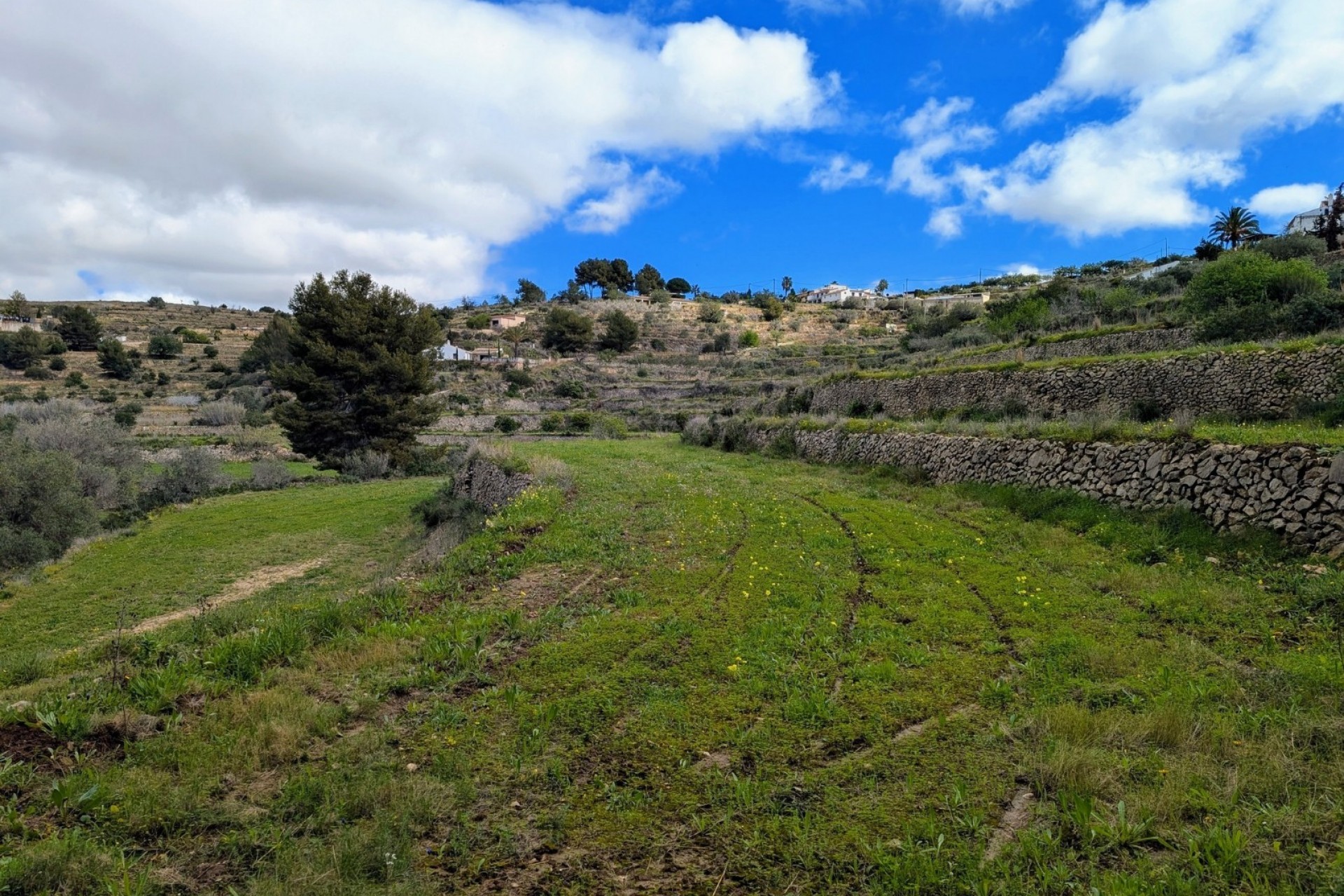 Te koop -  -
Benissa - Partida Biasner