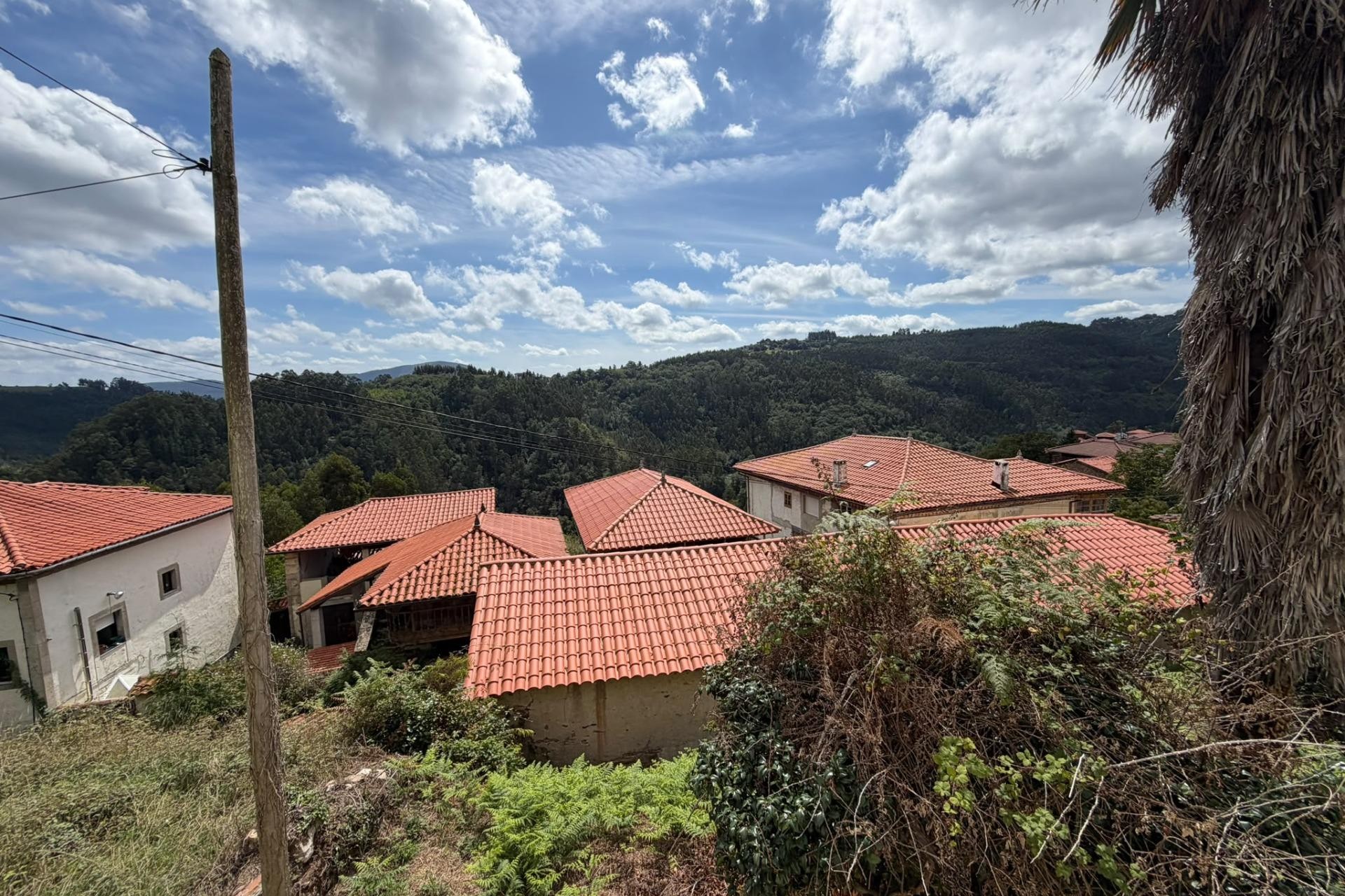 Te koop - Casa con terreno -
Salas - Villarin