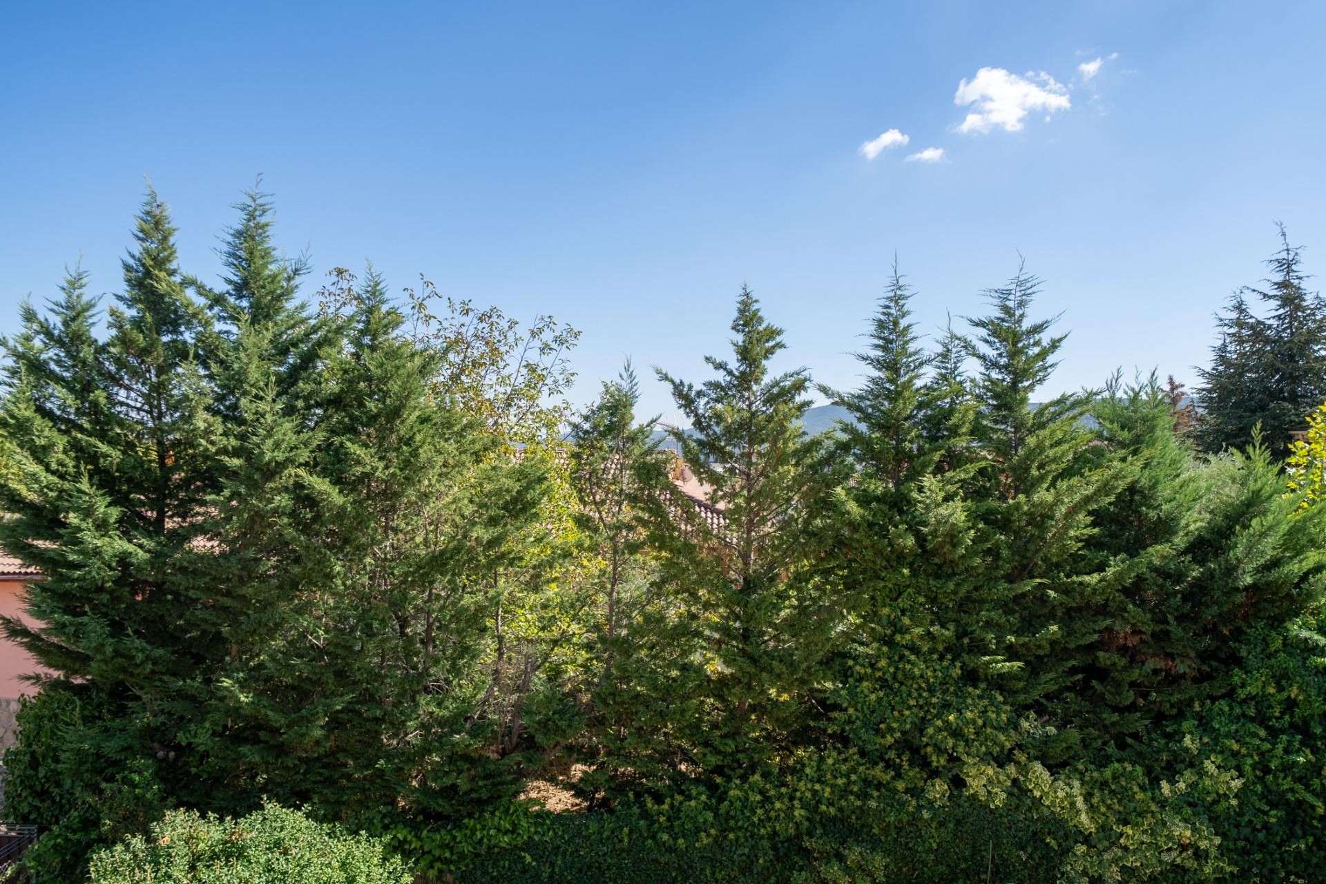Te koop - Chalet -
San Martin de Valdeiglesias - Garnacho