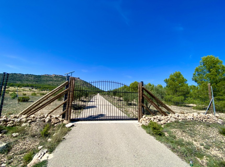 Te koop - Finca / Landhuis -
Ayora - Valencia