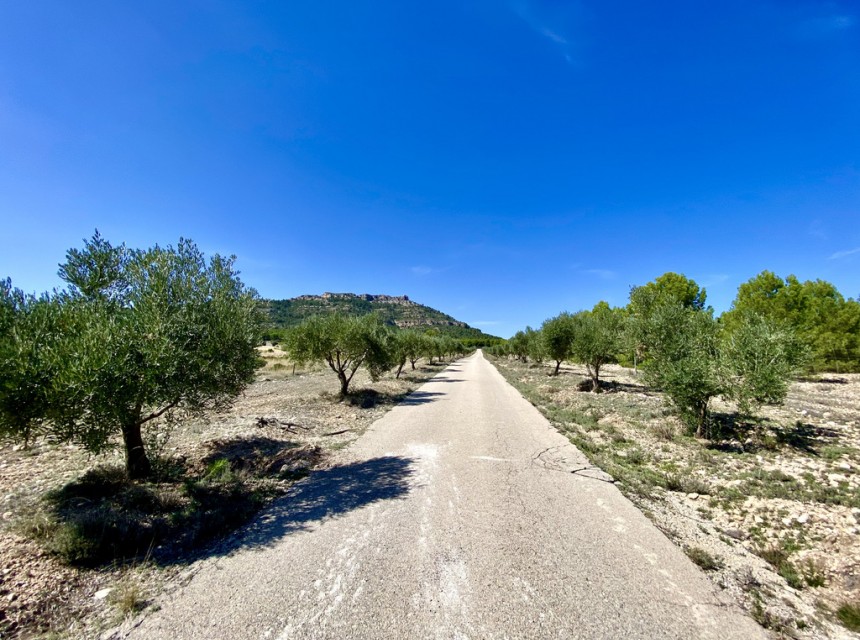 Te koop - Finca / Landhuis -
Ayora - Valencia