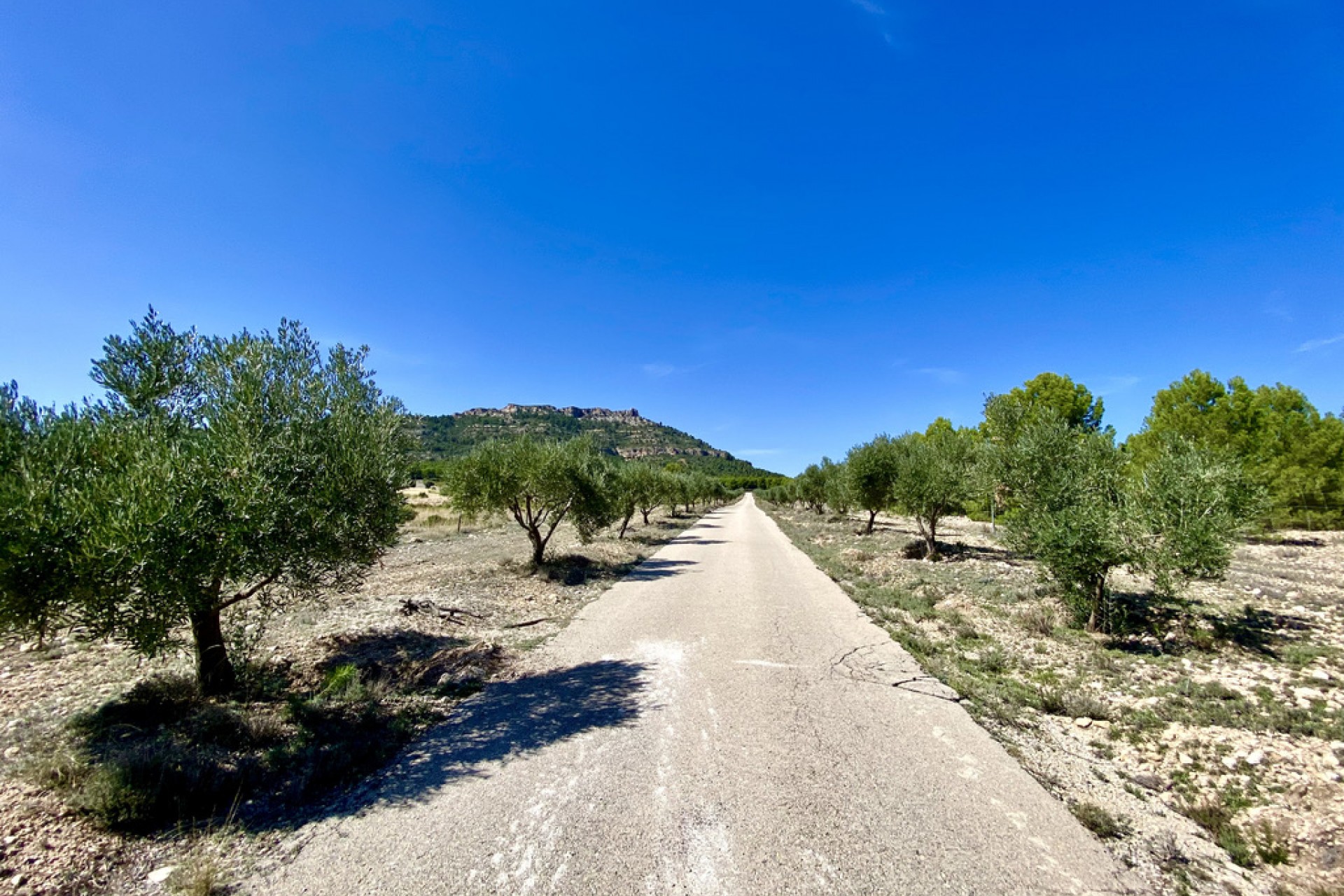 Te koop - Finca / Landhuis -
Ayora - Valencia