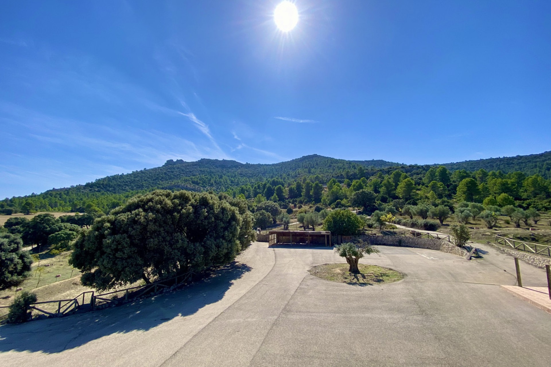 Te koop - Finca / Landhuis -
Ayora - Valencia