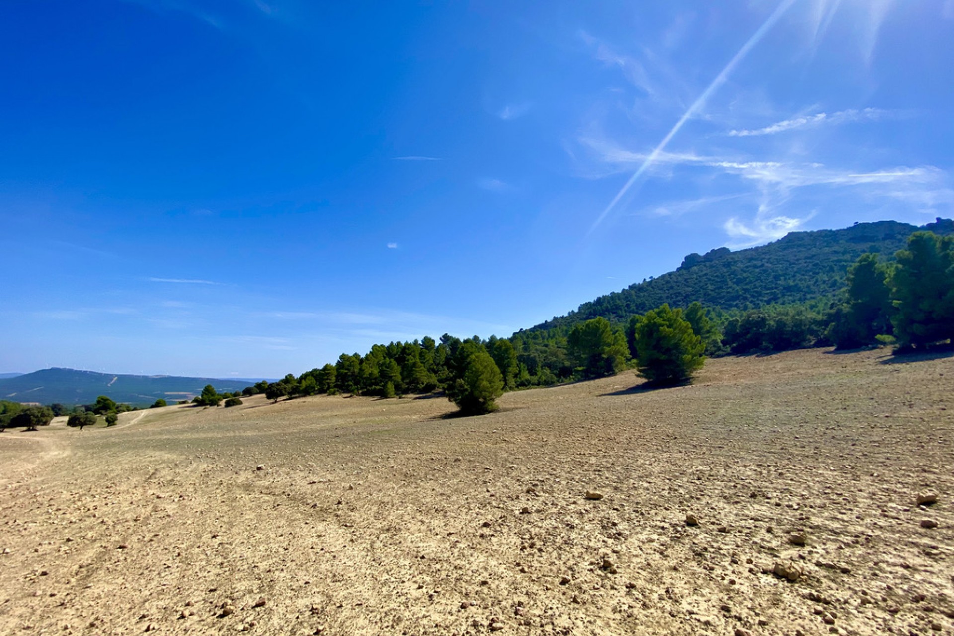 Te koop - Finca / Landhuis -
Ayora - Valencia