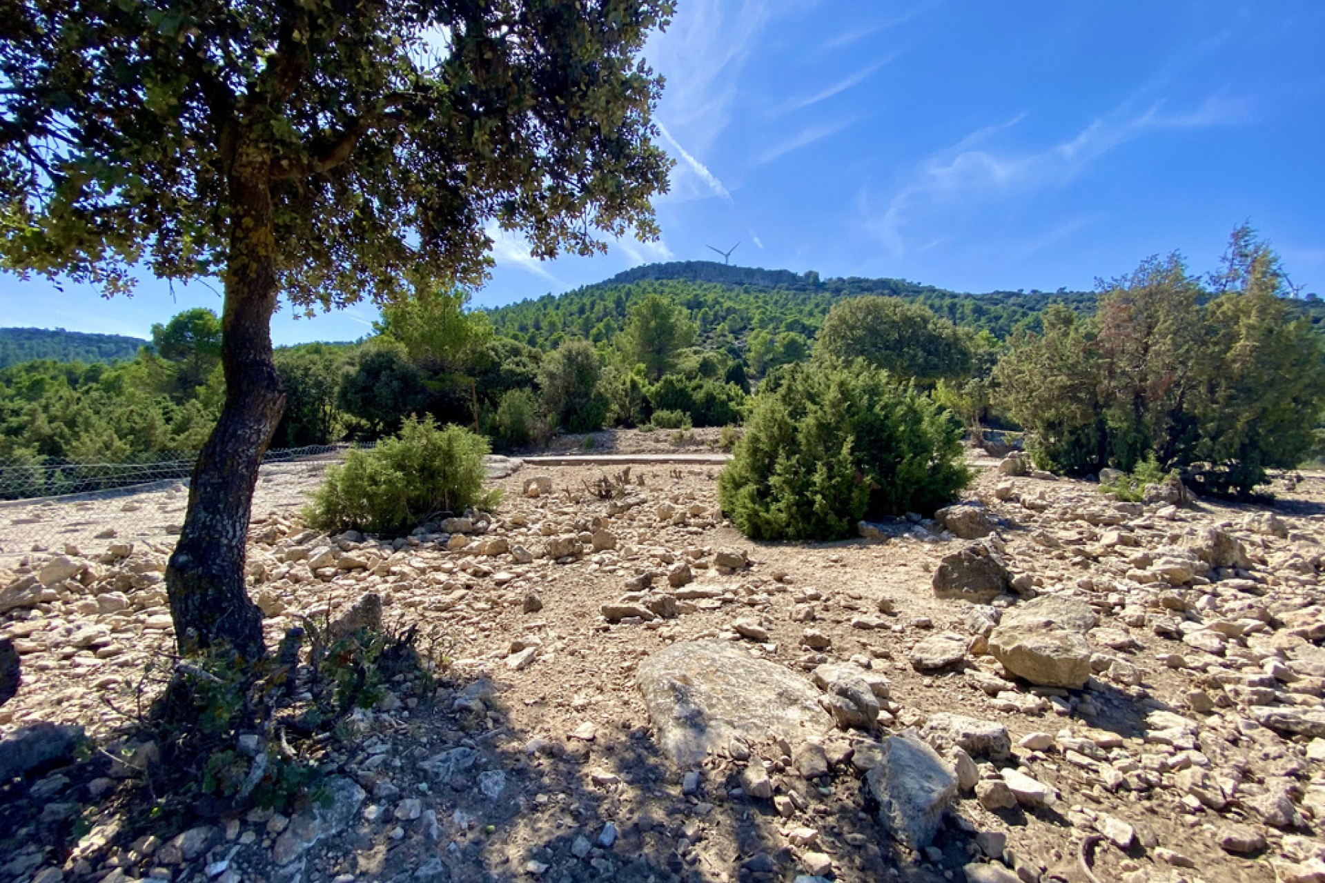 Te koop - Finca / Landhuis -
Ayora - Valencia