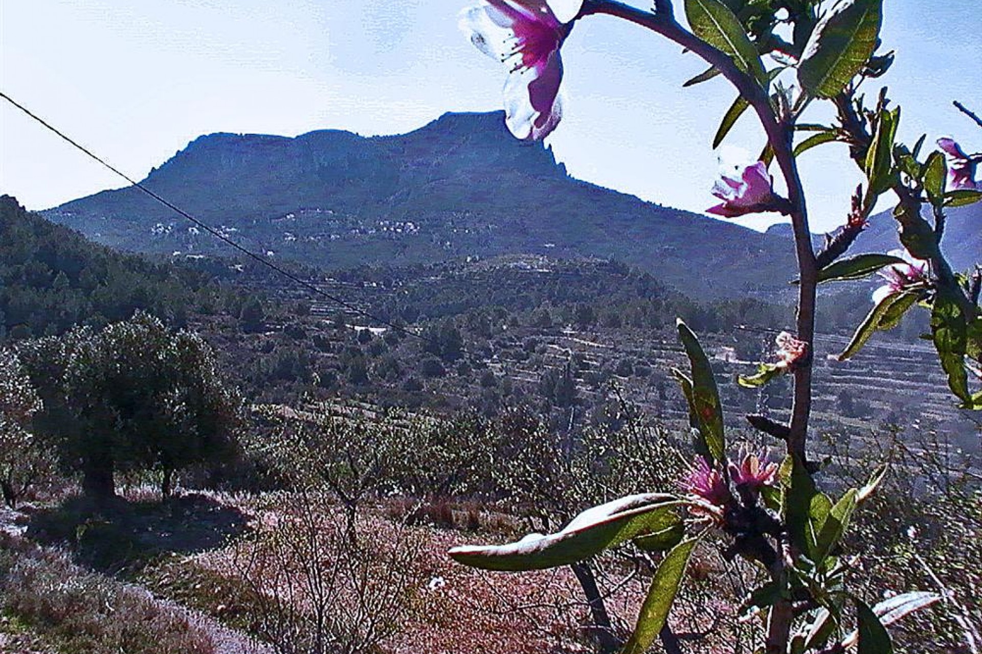 Te koop - Finca / Landhuis -
Benissa