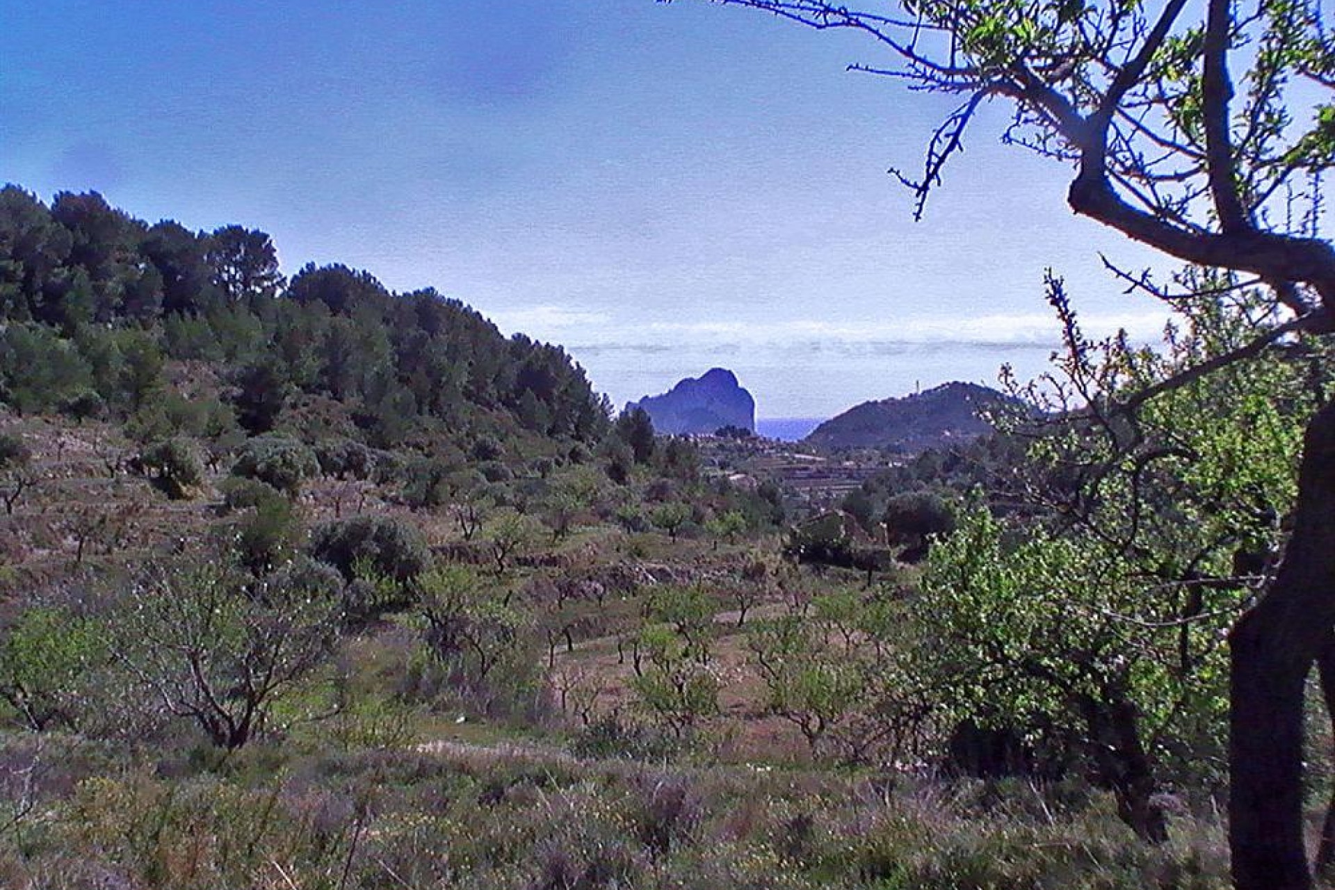Te koop - Finca / Landhuis -
Benissa