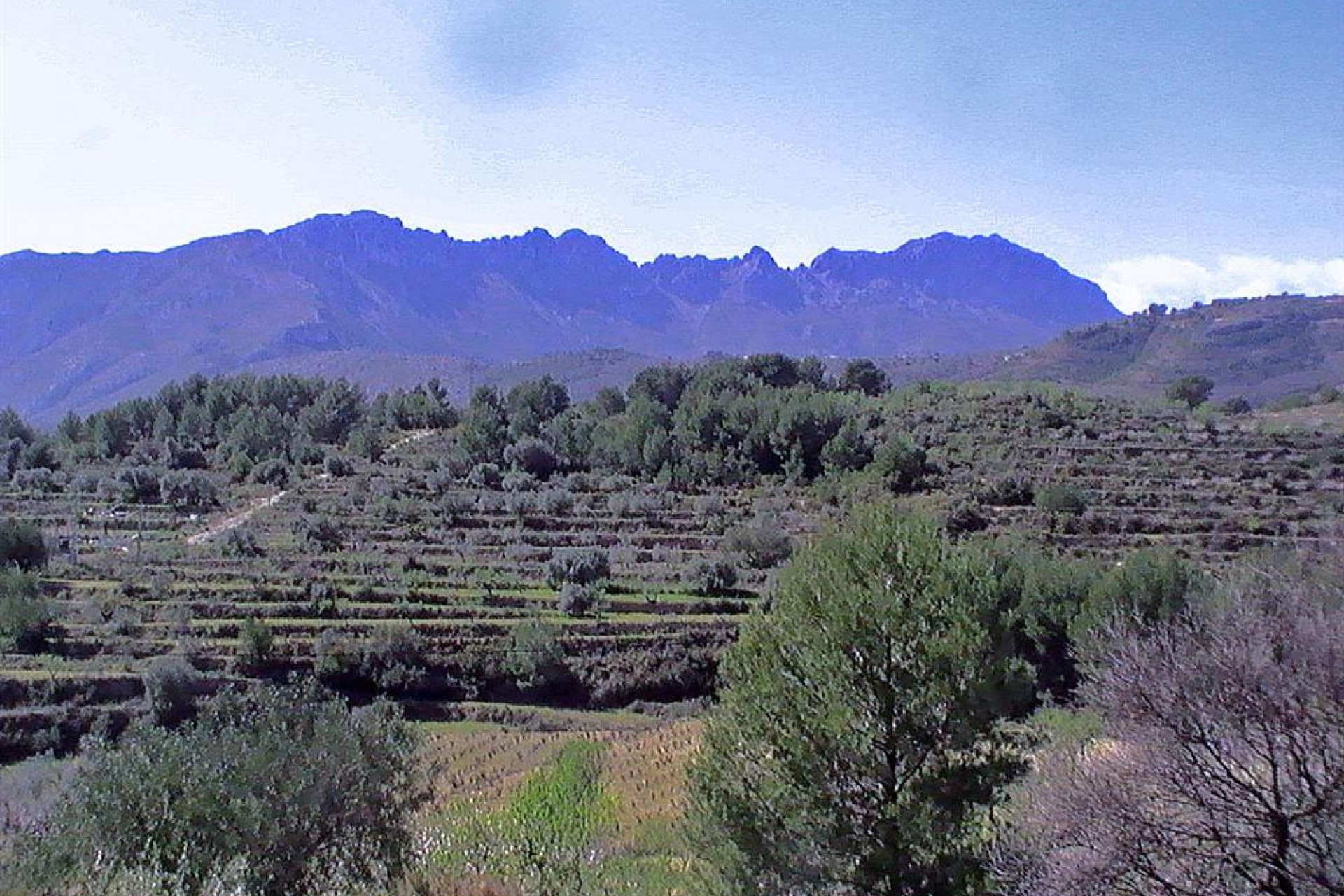 Te koop - Finca / Landhuis -
Benissa