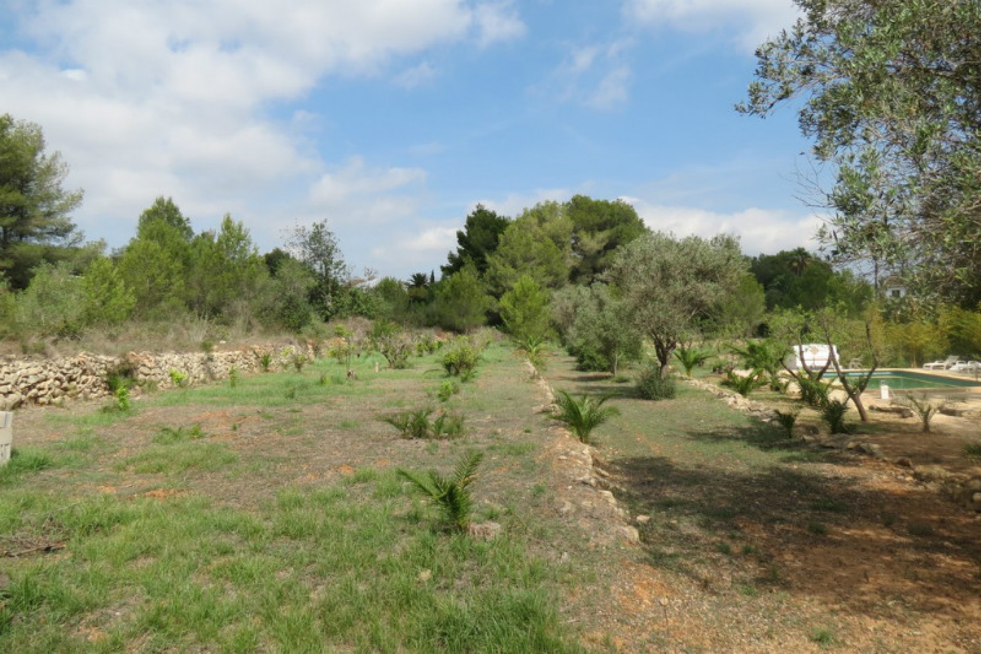 Te koop - Finca / Landhuis -
Javea