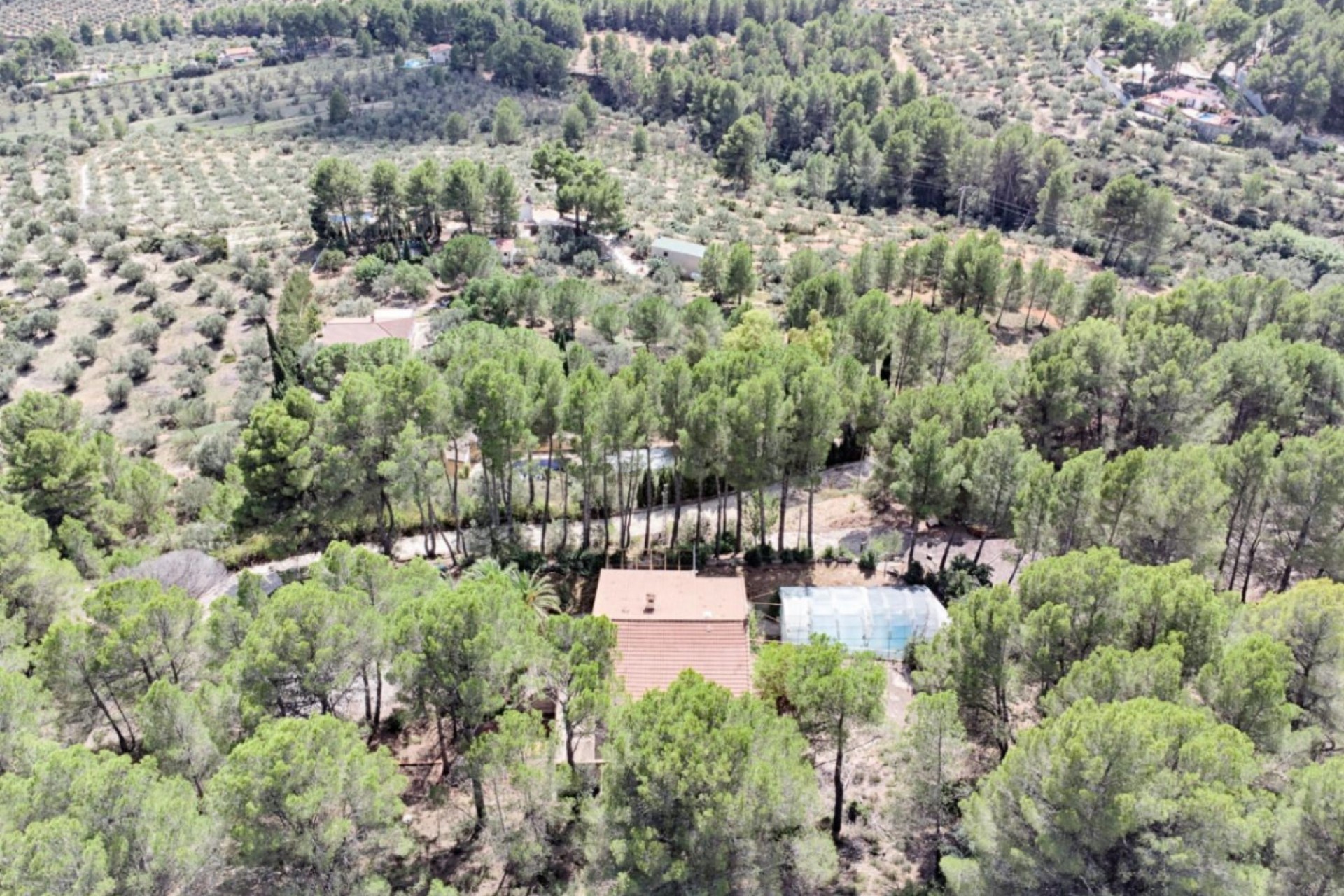 Te koop - Finca / Landhuis -
Muro d'Alcoi - Turballos