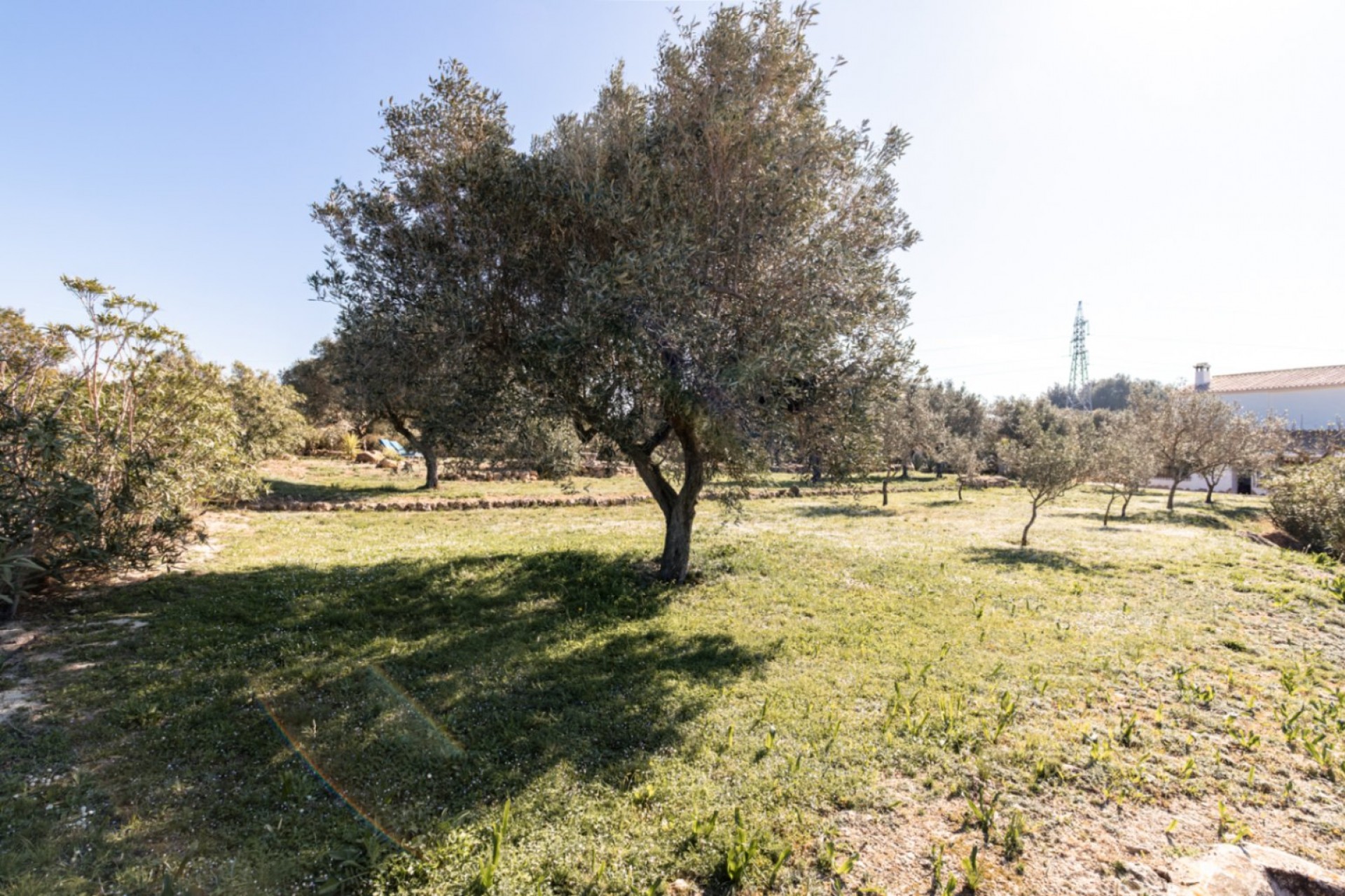 Te koop - Finca / Landhuis -
Teulada - Partida Canor