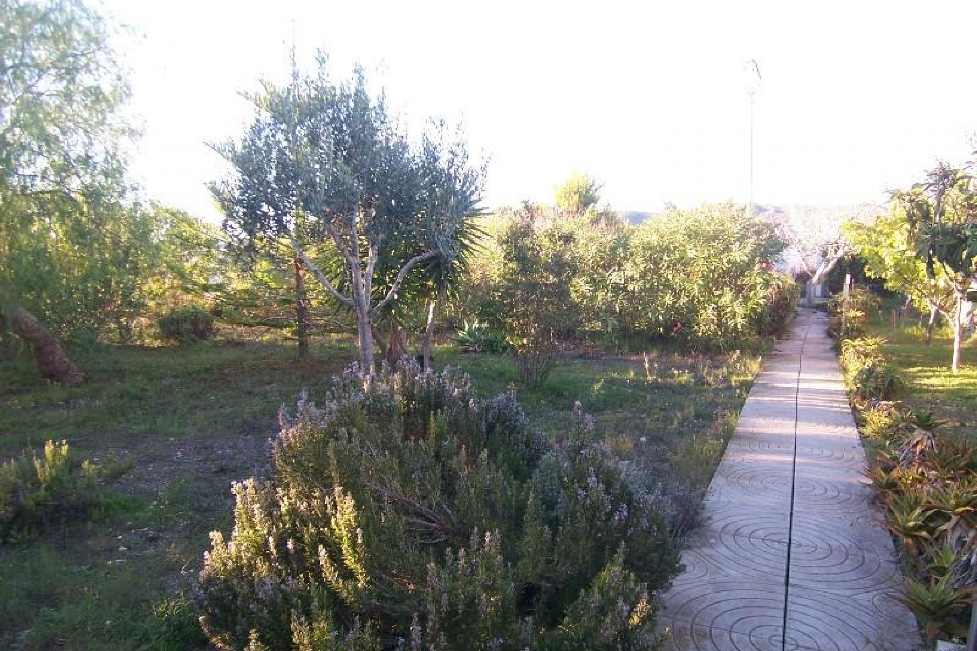 Te koop - Finca / Landhuis -
Teulada