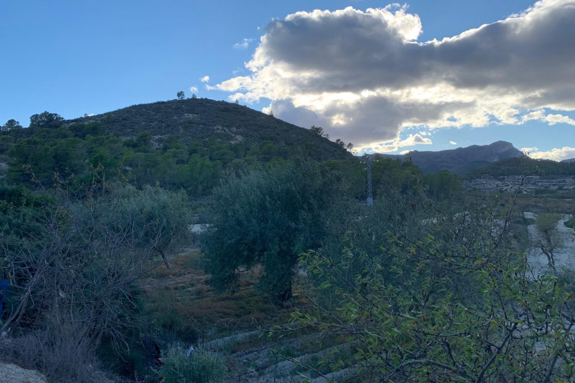 Te koop - Finca -
Senija