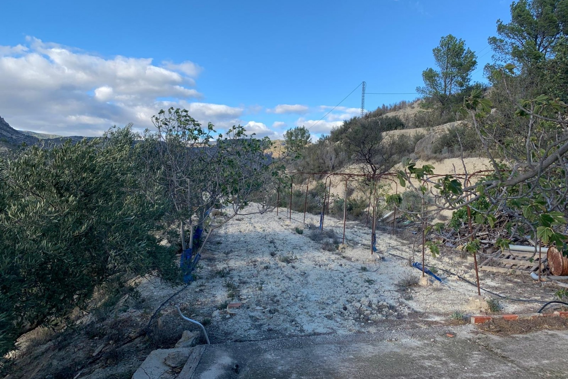 Te koop - Finca -
Senija