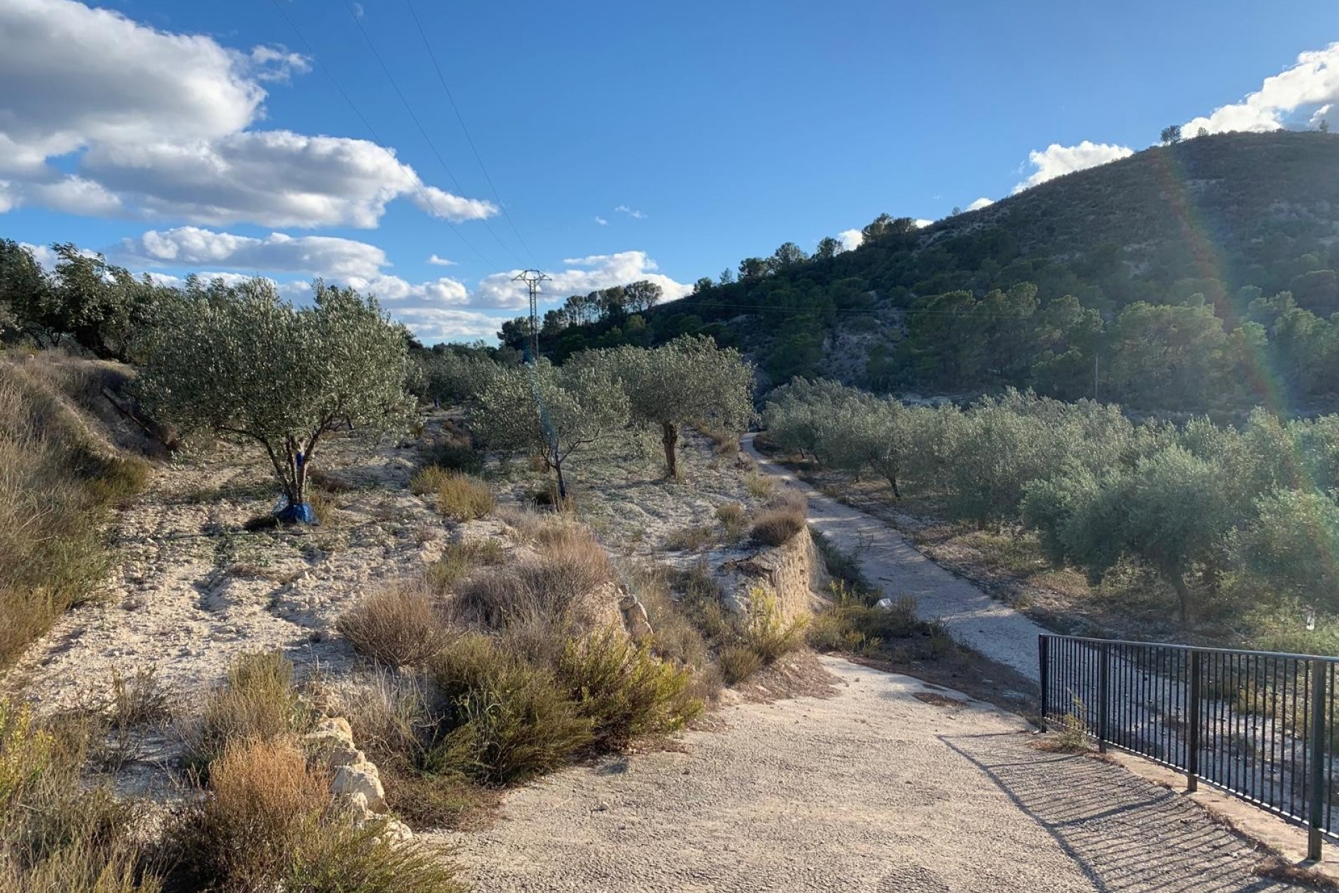 Te koop - Finca -
Senija