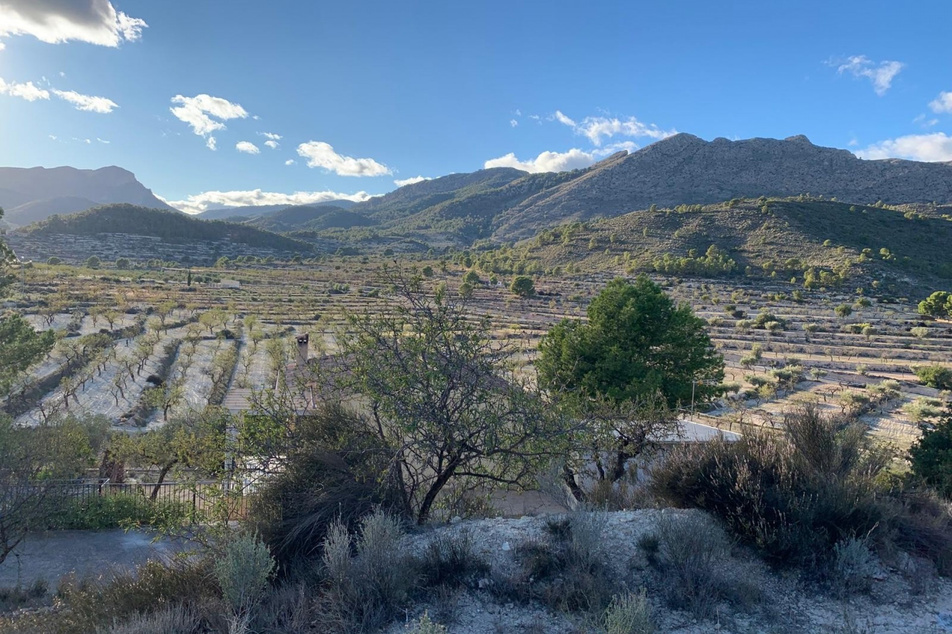 Te koop - Finca -
Senija