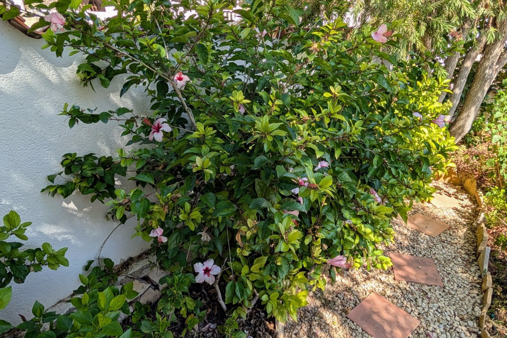 Te koop - Halfvrijstaande villa -
Moraira - La Sabatera