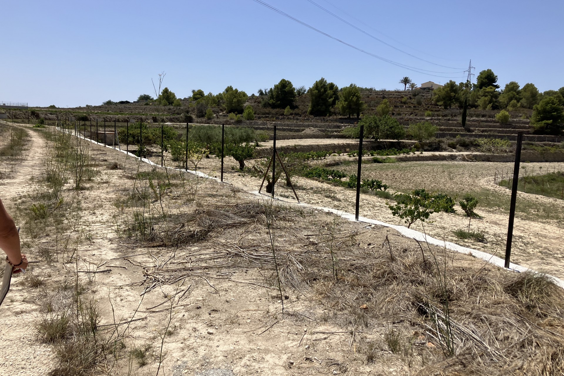 Te koop - Perceel -
Benissa - Partida Berdica