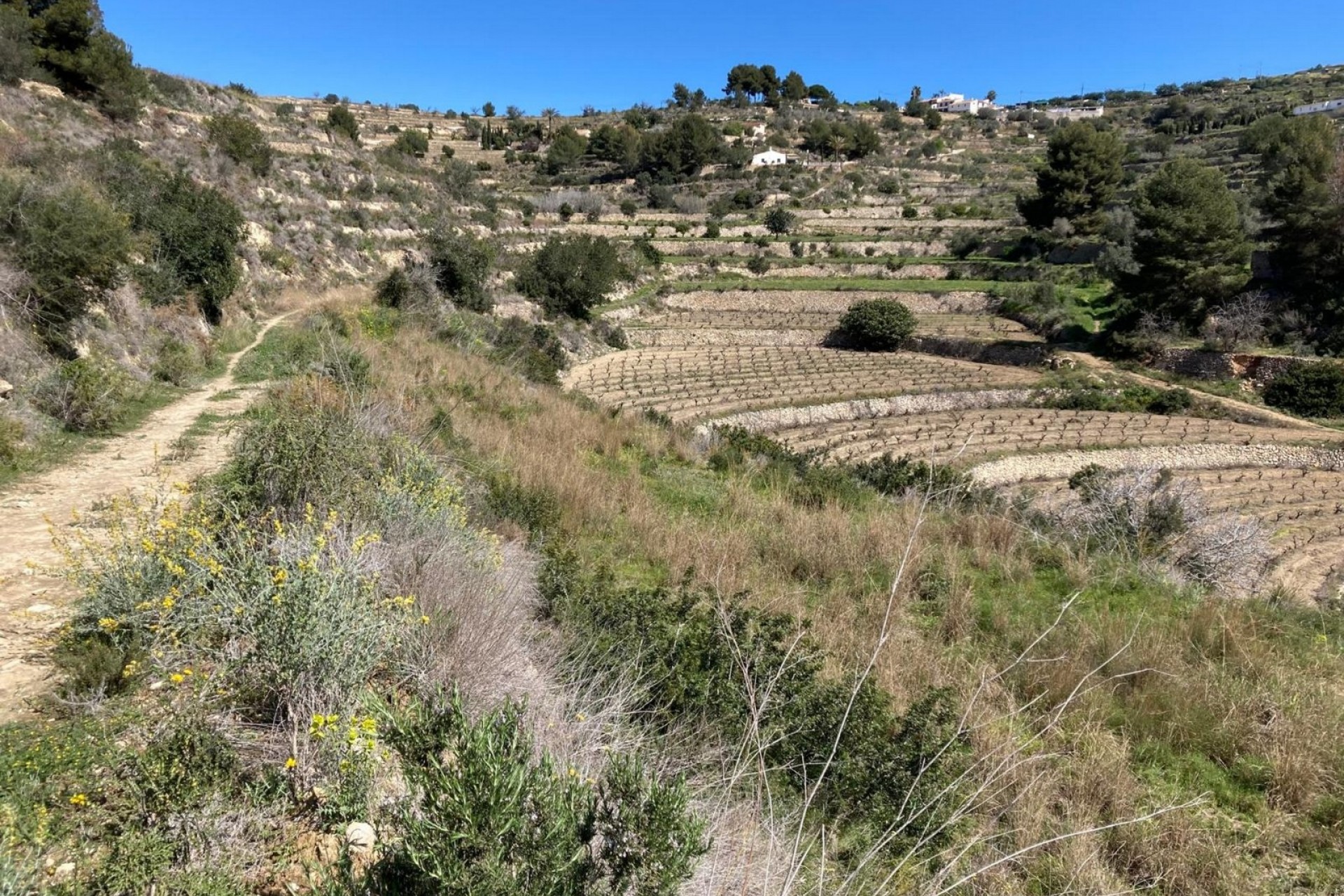 Te koop - Perceel -
Benissa - Partida Biasner