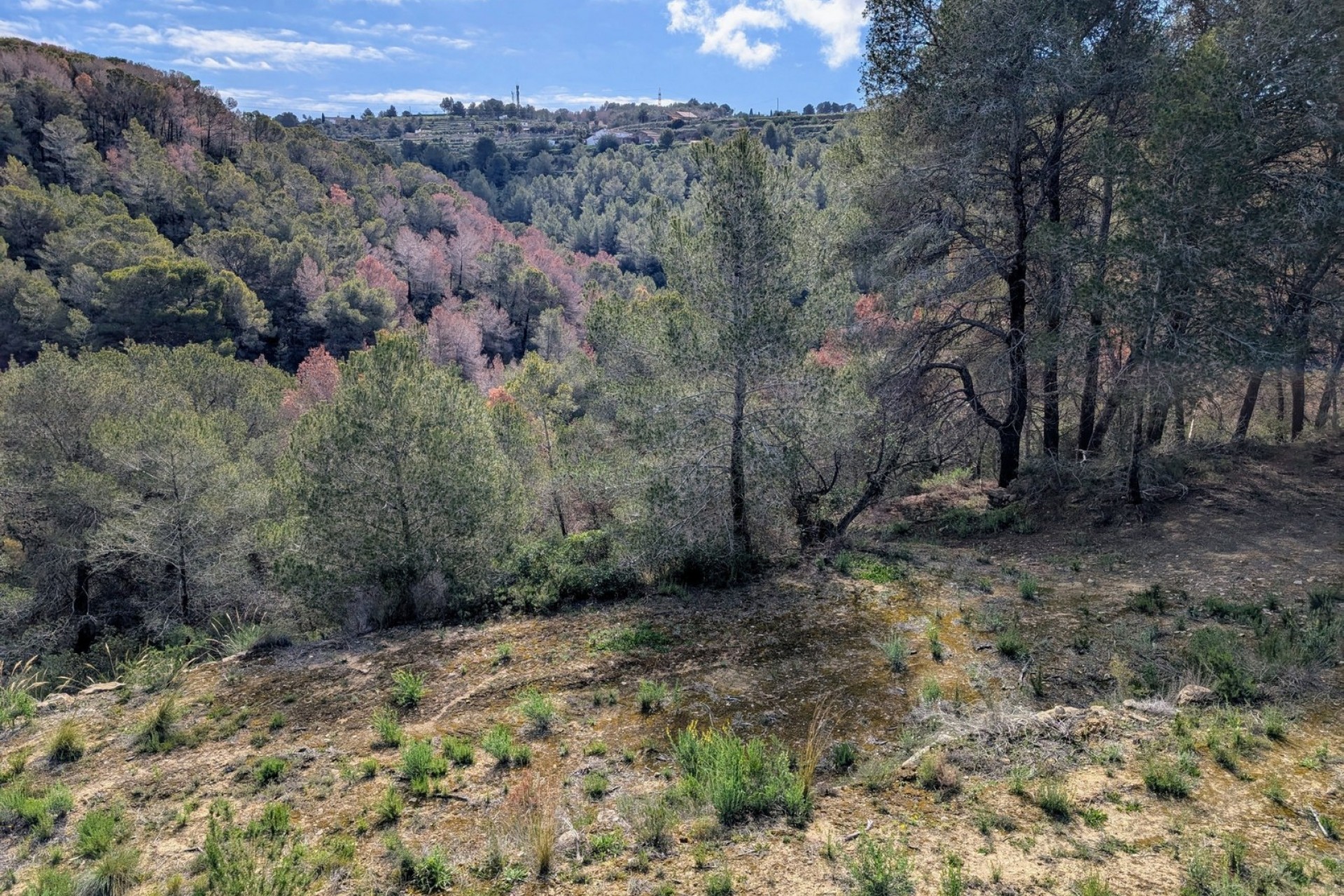 Te koop - Perceel -
Benissa - Partida Biasner