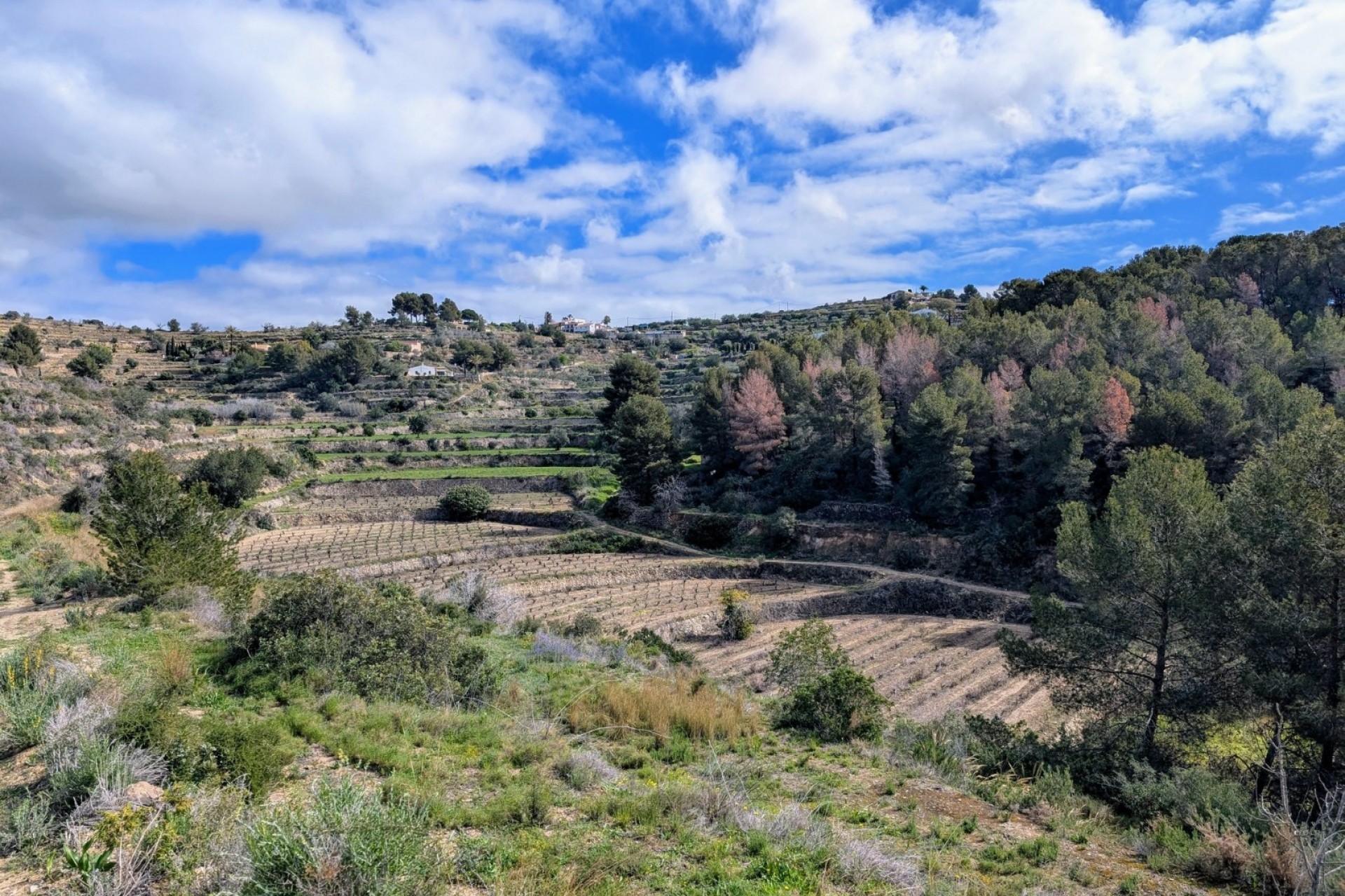 Te koop - Perceel -
Benissa - Partida Biasner