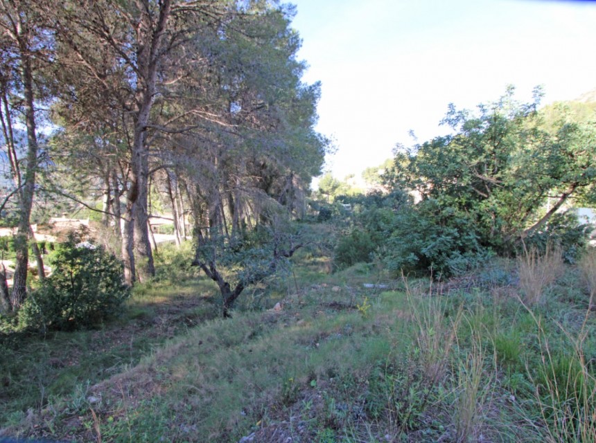 Te koop - Perceel/land -
Alcalali