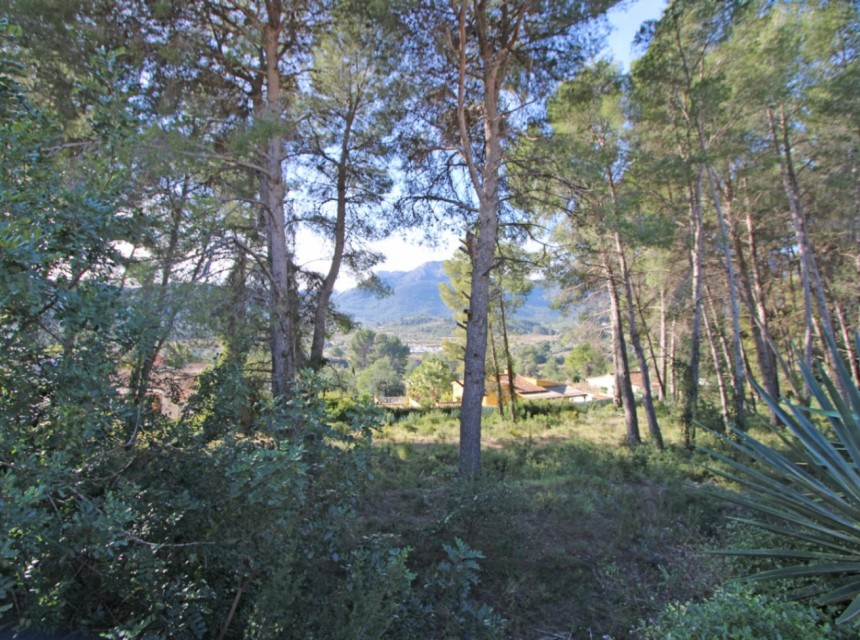 Te koop - Perceel/land -
Alcalali