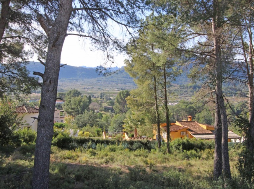 Te koop - Perceel/land -
Alcalali