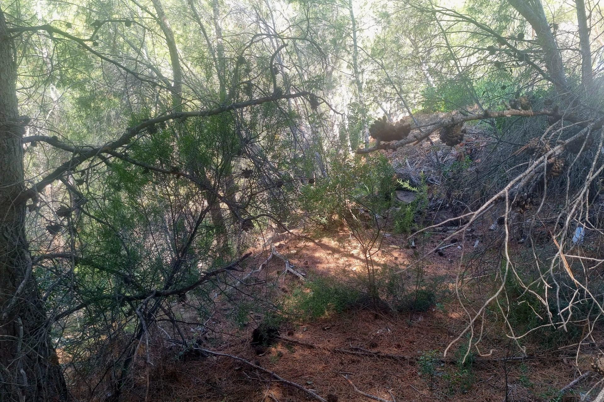 Te koop - Perceel/land -
Altea - Galera de las palmeras