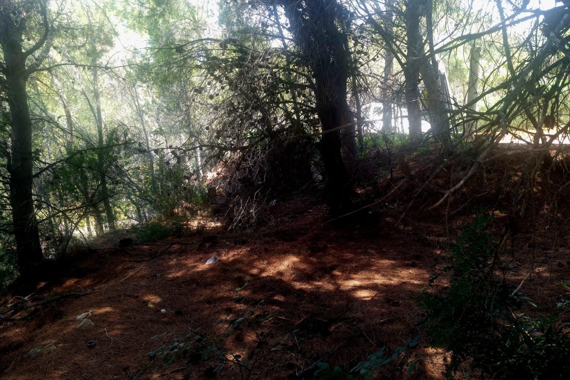 Te koop - Perceel/land -
Altea - Galera de las palmeras