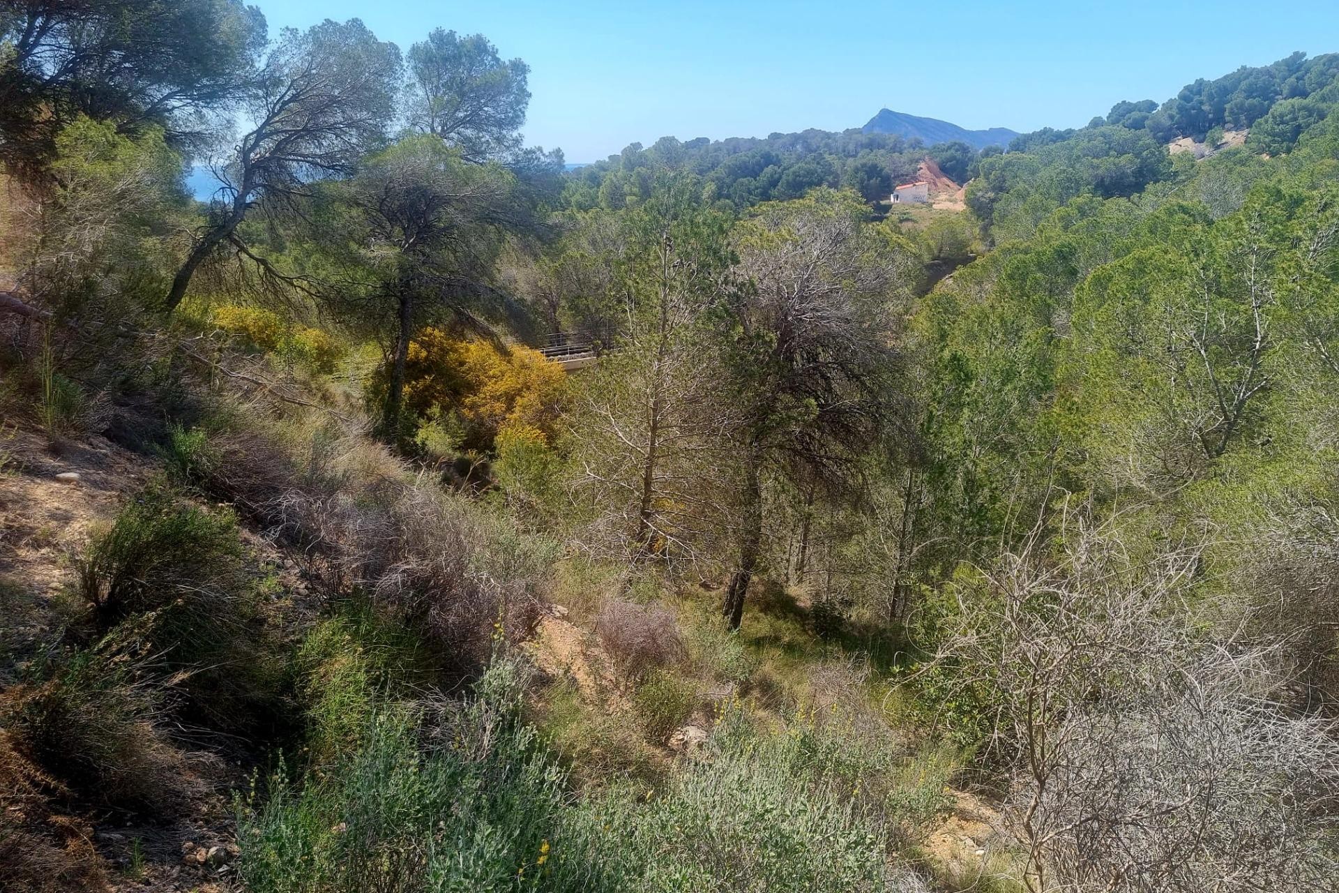 Te koop - Perceel/land -
Altea - Galera de las palmeras