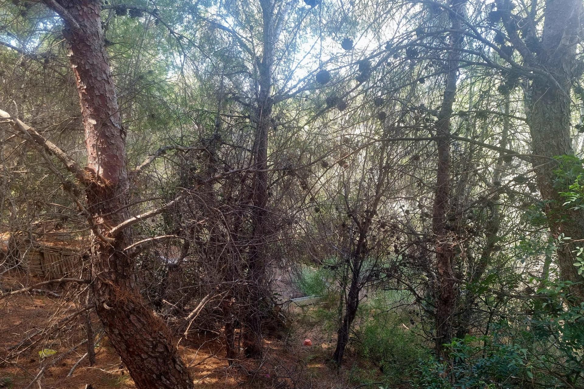 Te koop - Perceel/land -
Altea - Galera de las palmeras