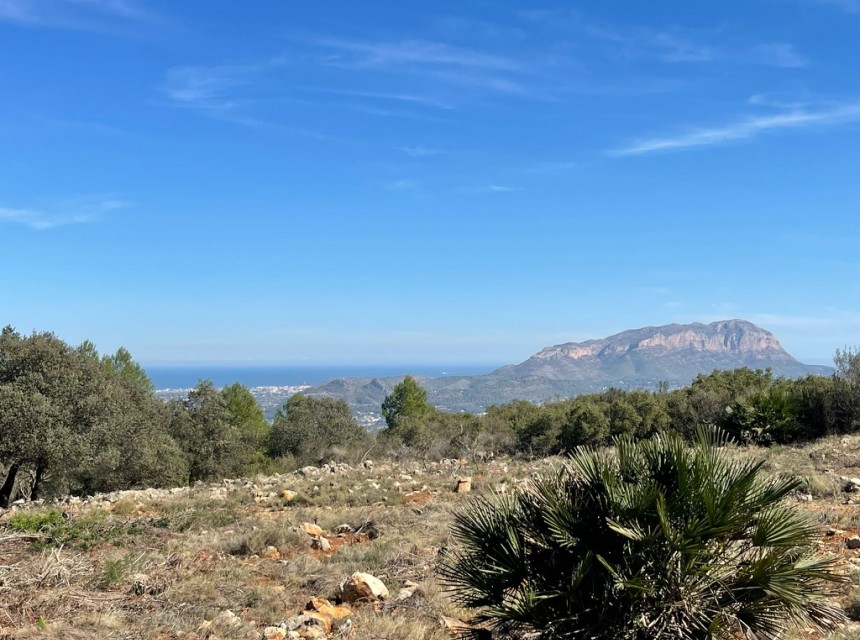 Te koop - Perceel/land -
Beniarbeig - Benidoleig