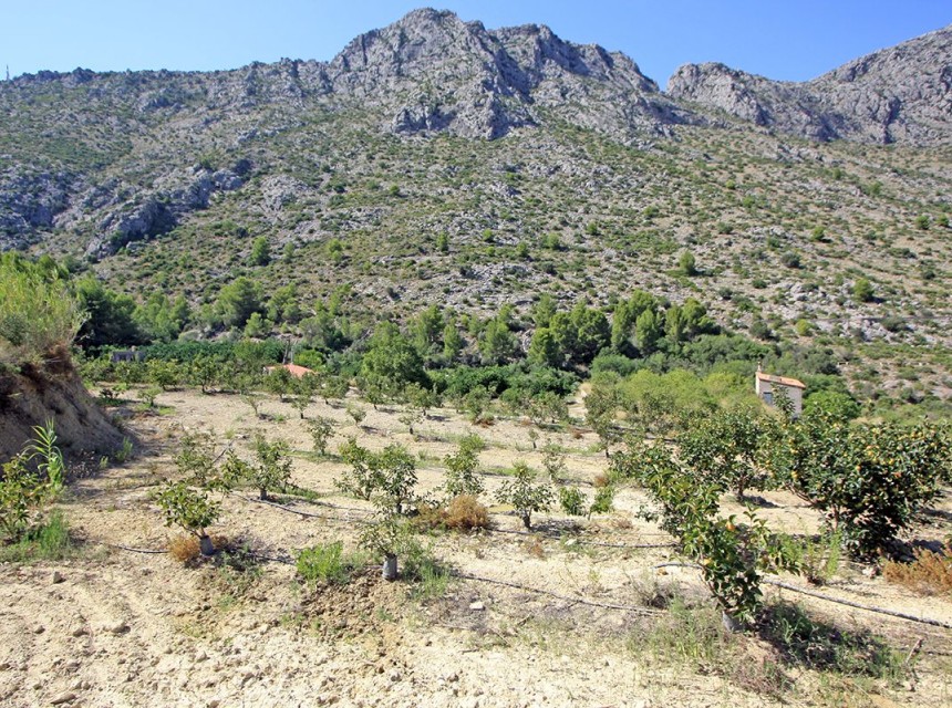 Te koop - Perceel/land -
Beniarbeig - Periferia