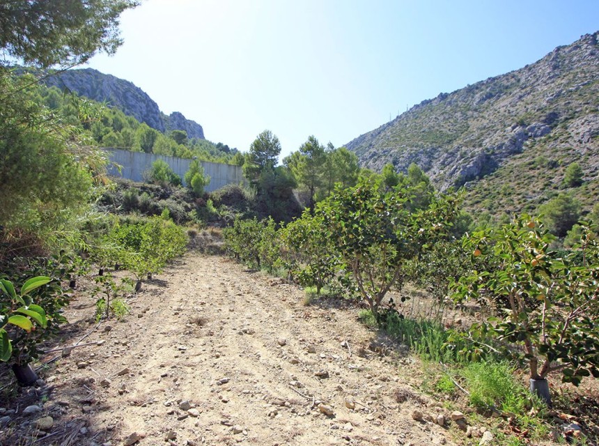 Te koop - Perceel/land -
Beniarbeig - Periferia