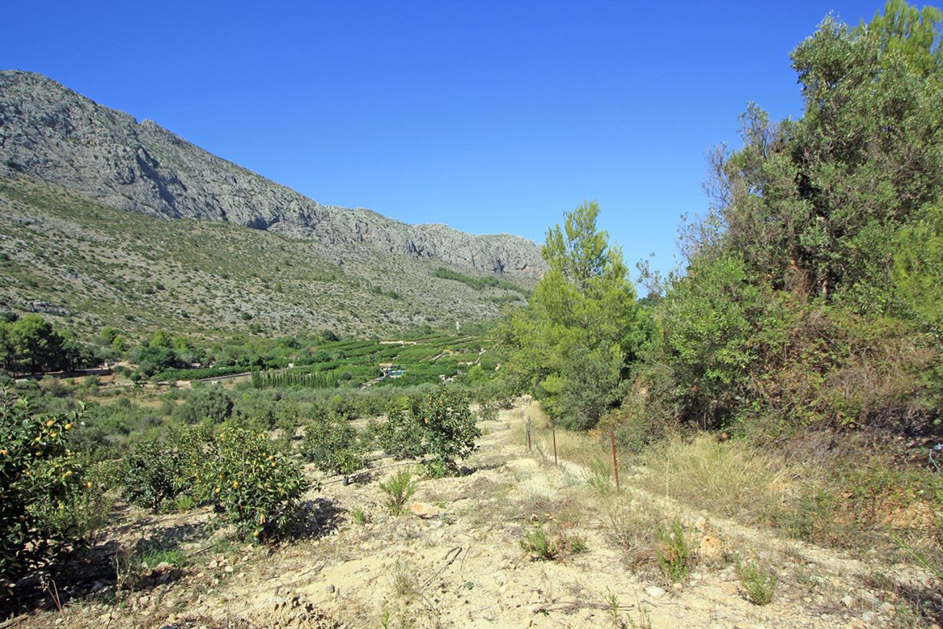 Te koop - Perceel/land -
Beniarbeig - Periferia