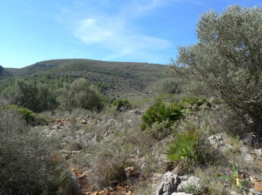 Te koop - Perceel/land -
Benigembla