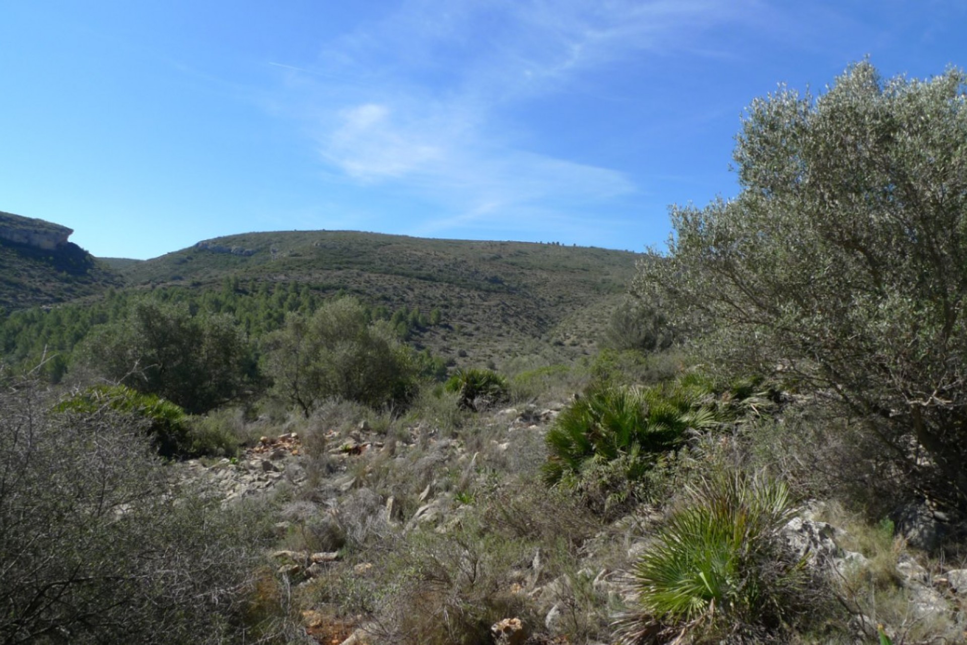 Te koop - Perceel/land -
Benigembla