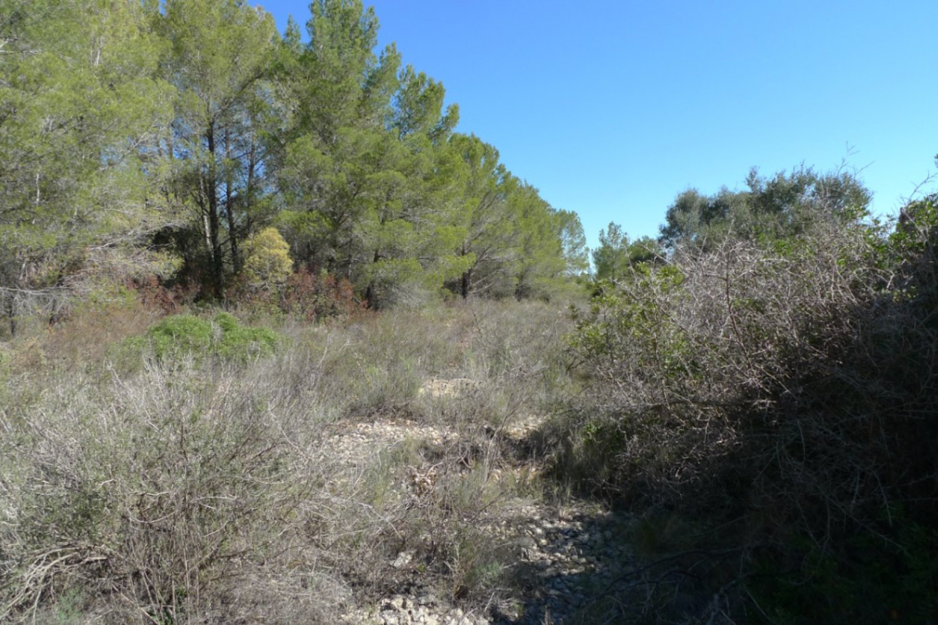 Te koop - Perceel/land -
Benigembla