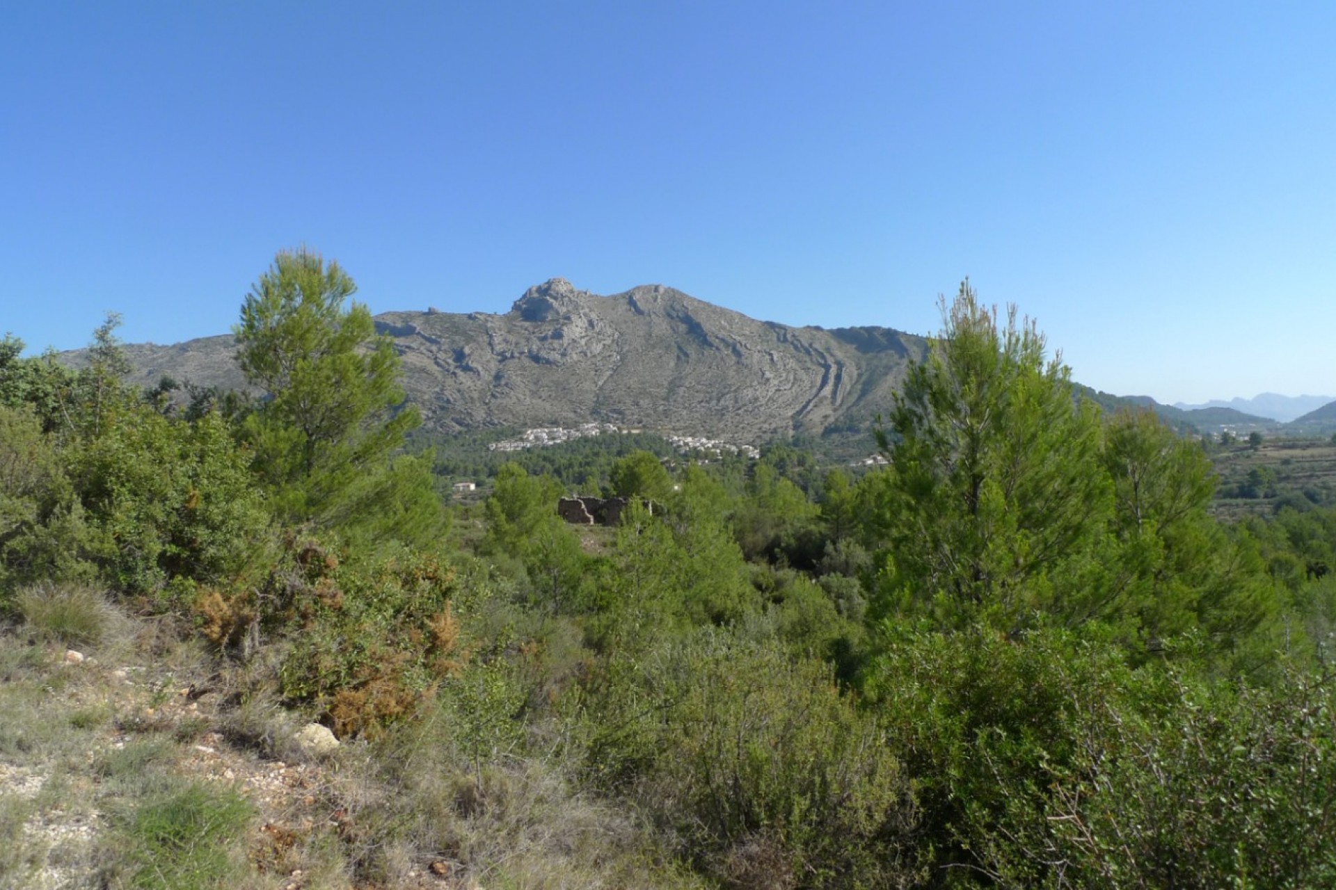 Te koop - Perceel/land -
Benigembla