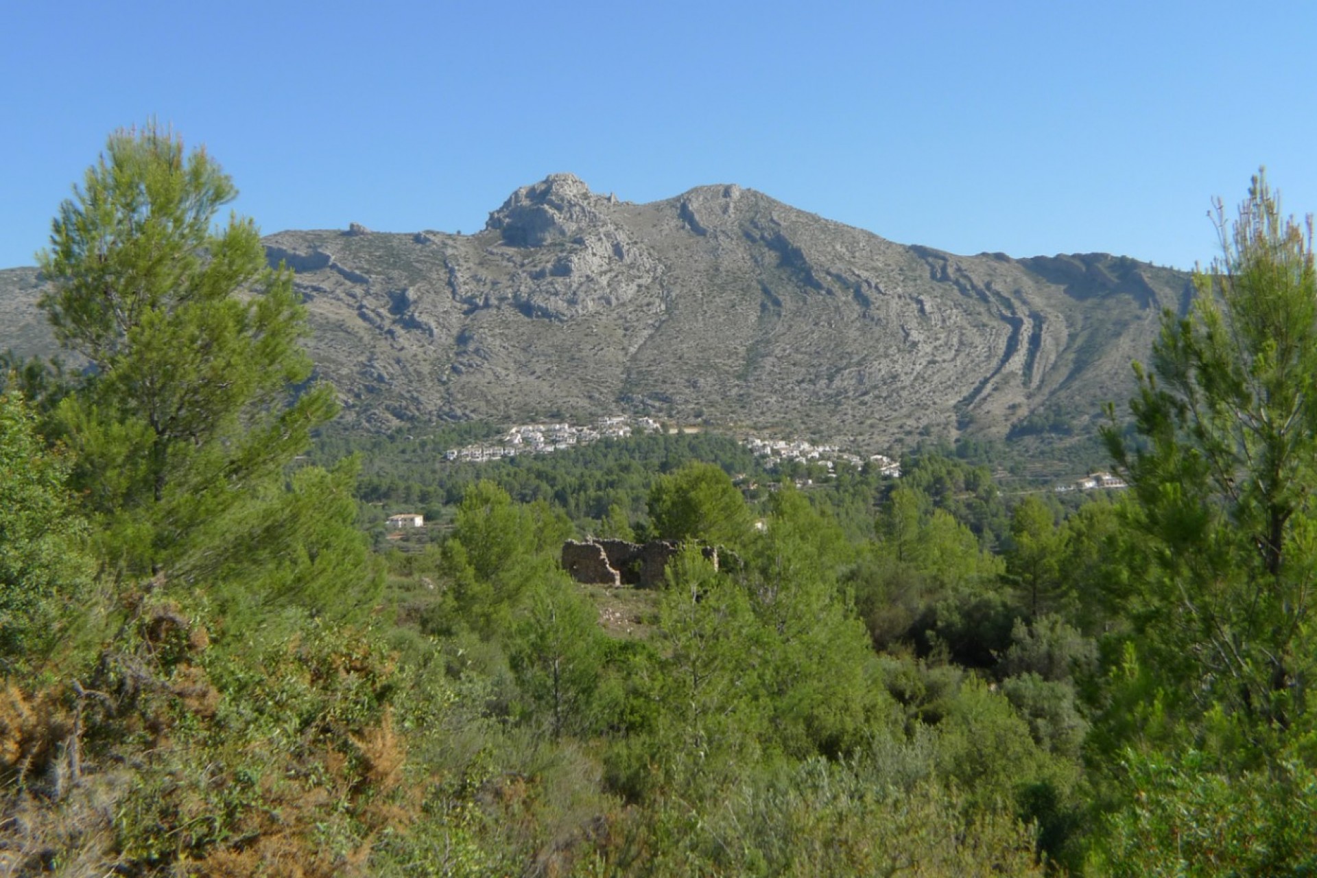 Te koop - Perceel/land -
Benigembla