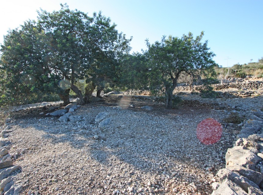 Te koop - Perceel/land -
Benimeli - Benimeit