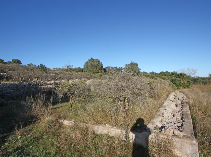 Te koop - Perceel/land -
Benimeli - Benimeit