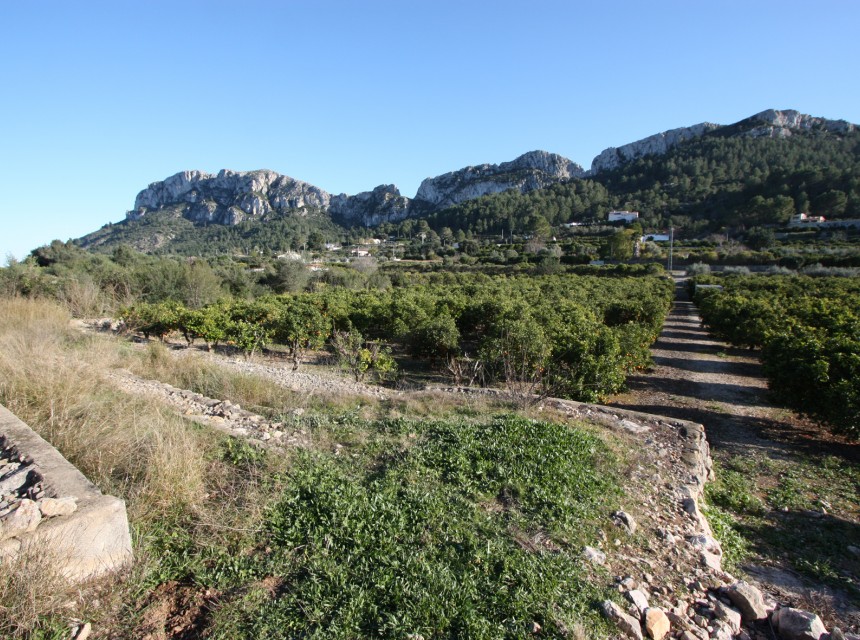 Te koop - Perceel/land -
Benimeli - Benimeit