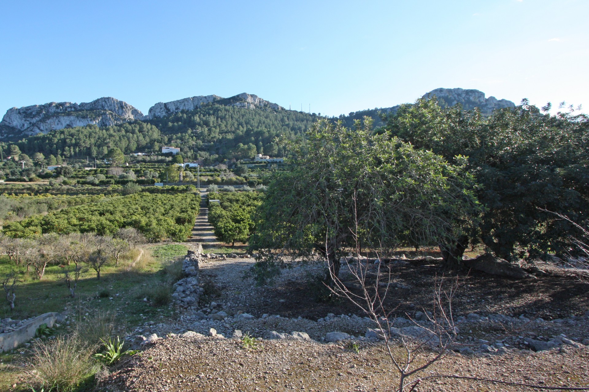 Te koop - Perceel/land -
Benimeli - Benimeit