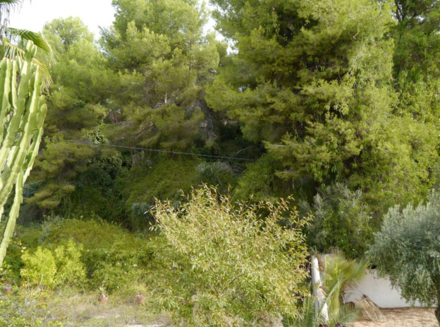 Te koop - Perceel/land -
Benissa - Buenavista