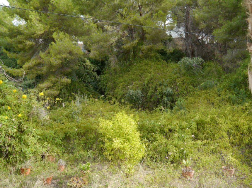 Te koop - Perceel/land -
Benissa - Buenavista