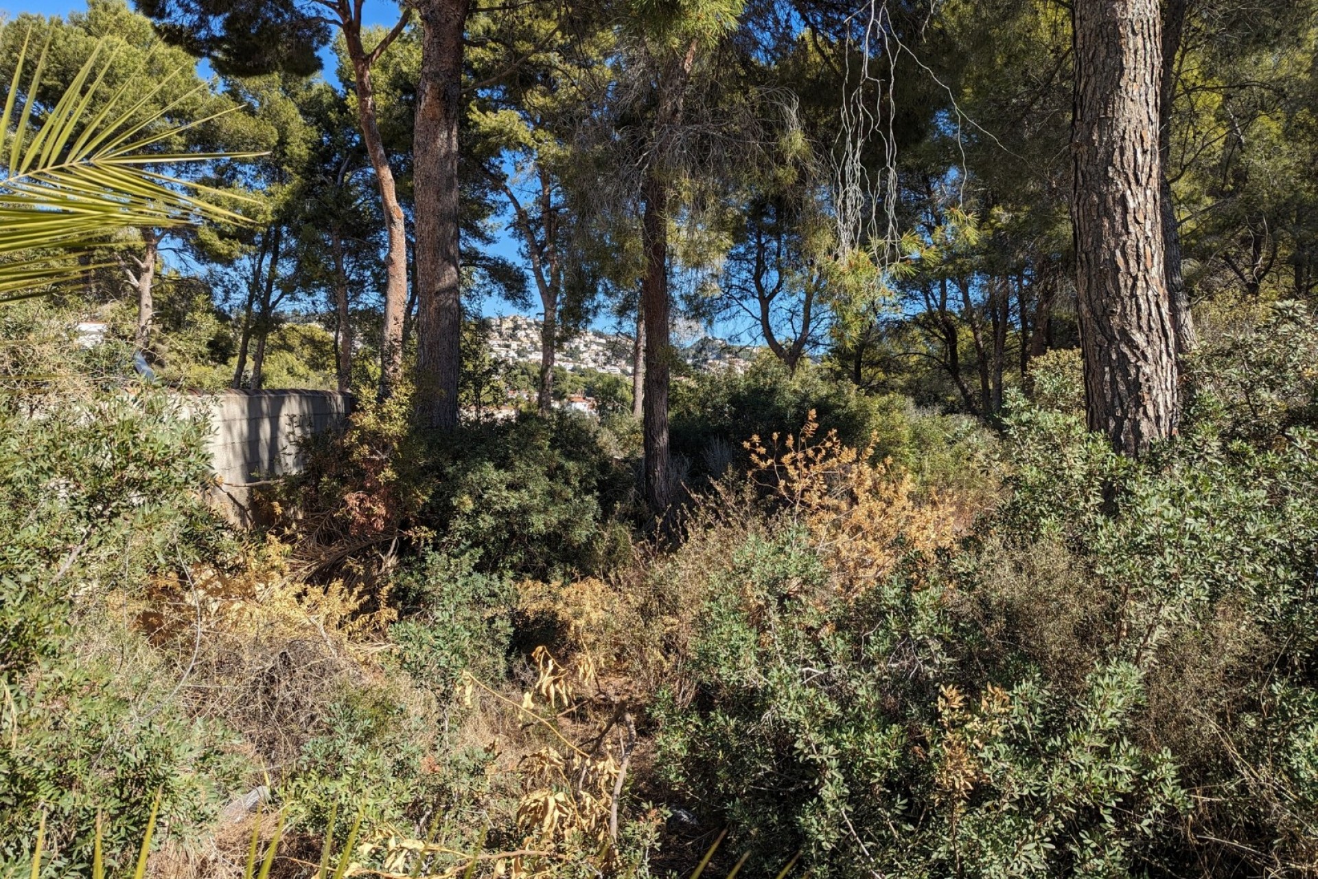 Te koop - Perceel/land -
Benissa - Fanadix