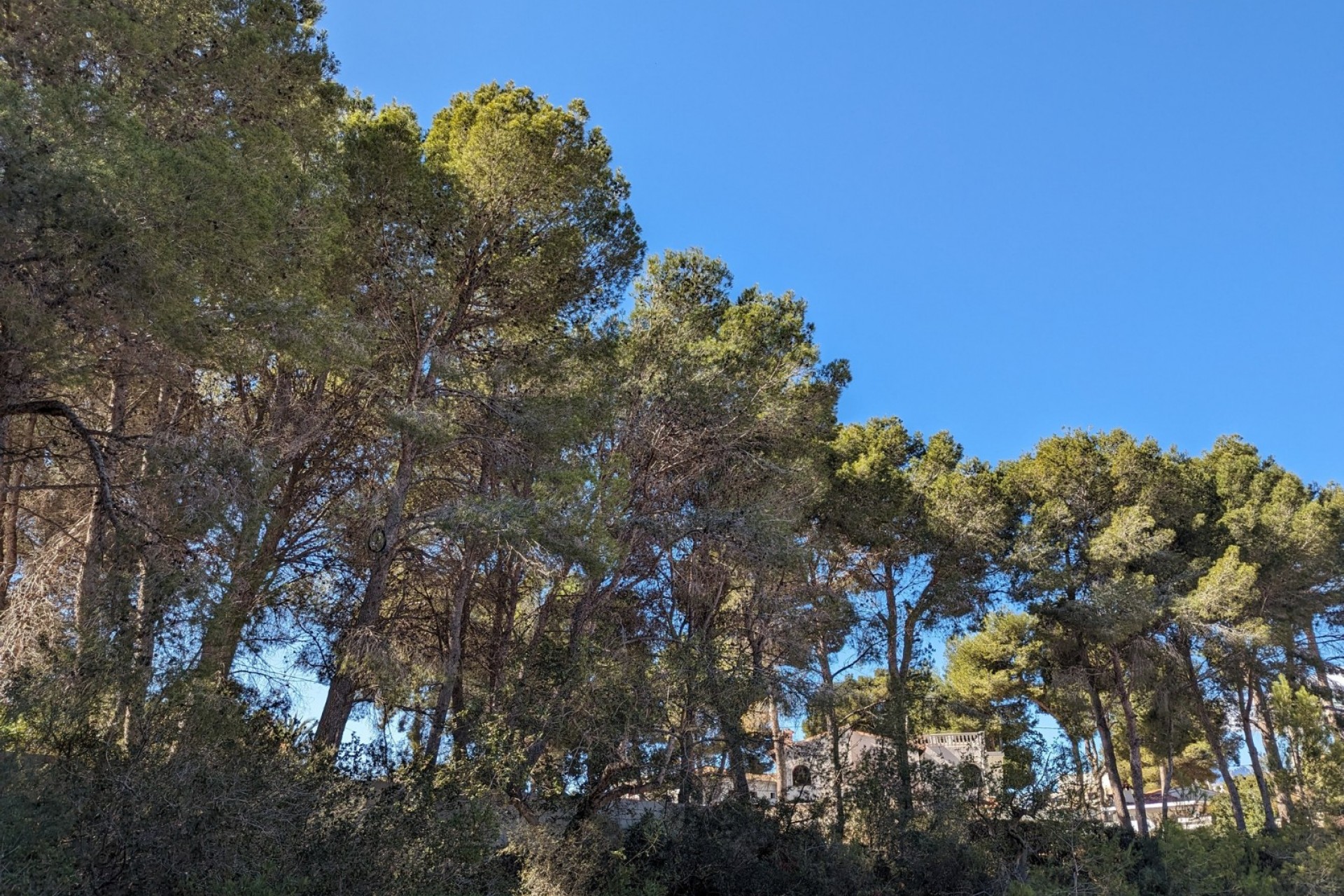 Te koop - Perceel/land -
Benissa - Fanadix