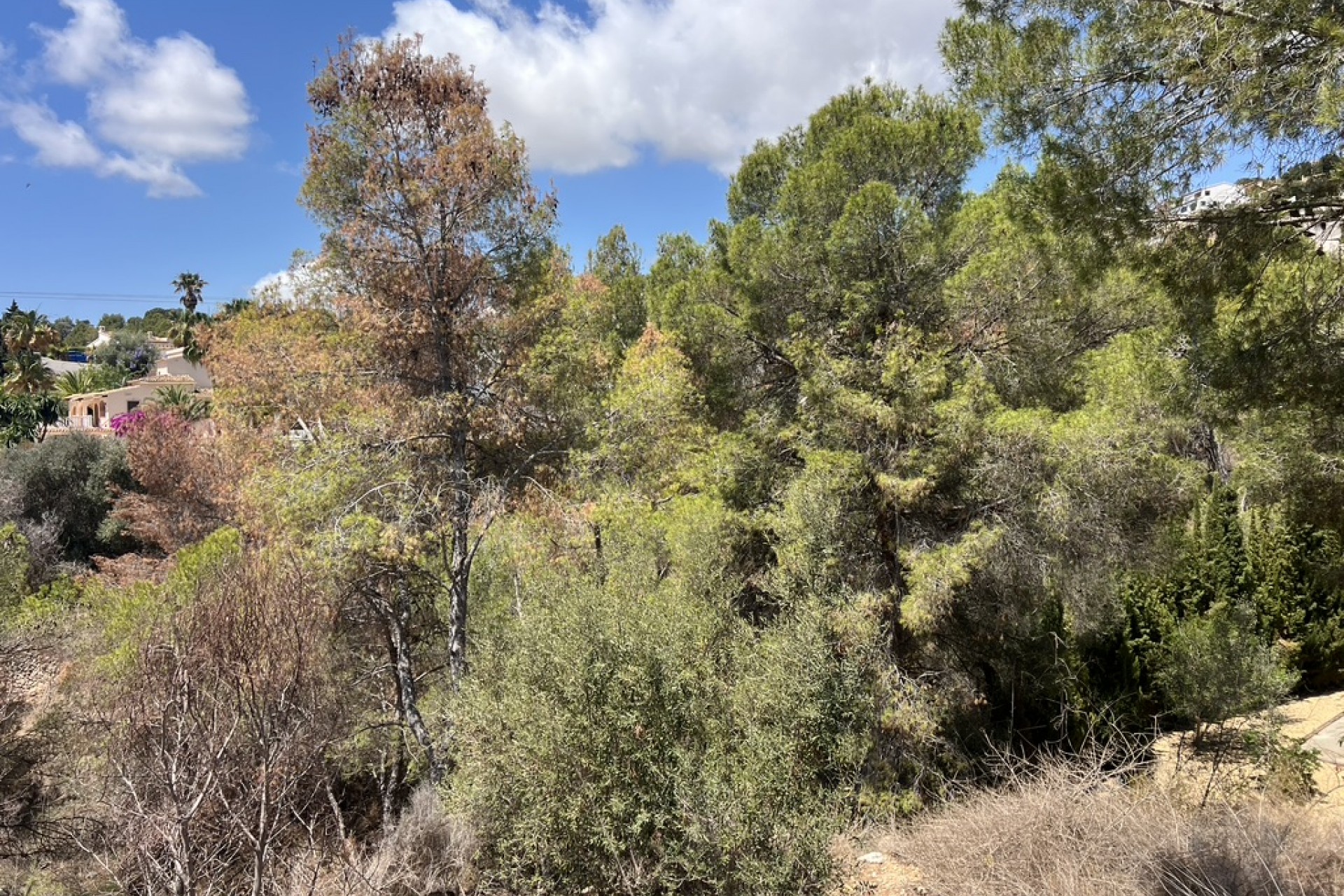 Te koop - Perceel/land -
Benissa - Montemar